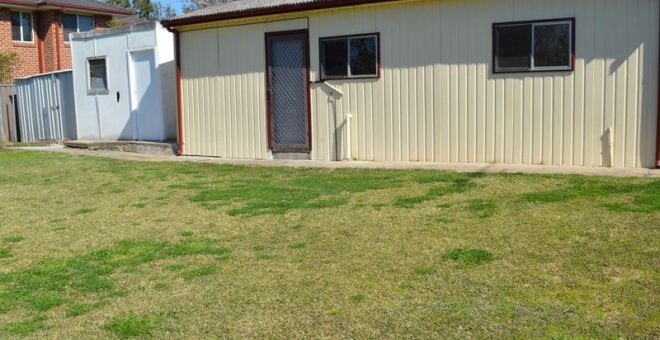 KINGSWOOD NSW 20136568